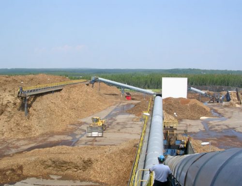 Biomass Handling